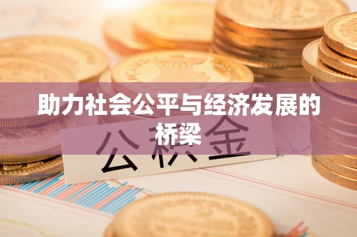 重庆助力社会公平与经济发展的桥梁