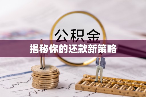 重庆揭秘你的还款新策略