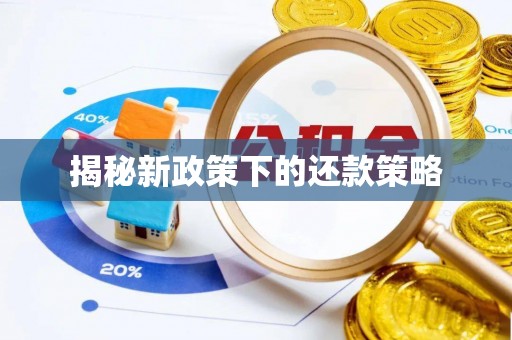 重庆揭秘新政策下的还款策略