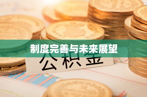 重庆制度完善与未来展望