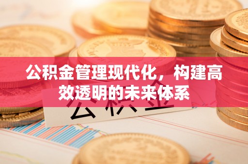 重庆公积金管理现代化，构建高效透明的未来体系