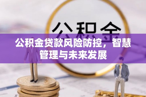 重庆公积金贷款风险防控，智慧管理与未来发展