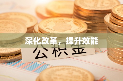 重庆深化改革，提升效能