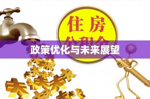 重庆政策优化与未来展望