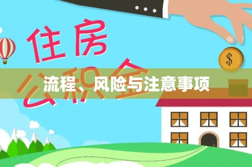 重庆流程、风险与注意事项