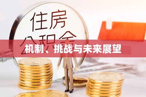 重庆机制、挑战与未来展望